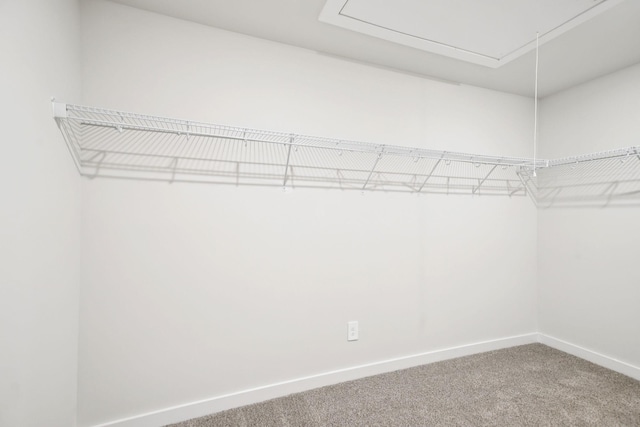 909 Calvin Ct, Antioch, TN 37013 - photo 45