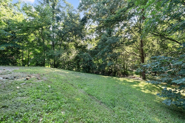 1401 Bearwallow Rd, Ashland City, TN 37015 - view of green lawn featuring a view of trees