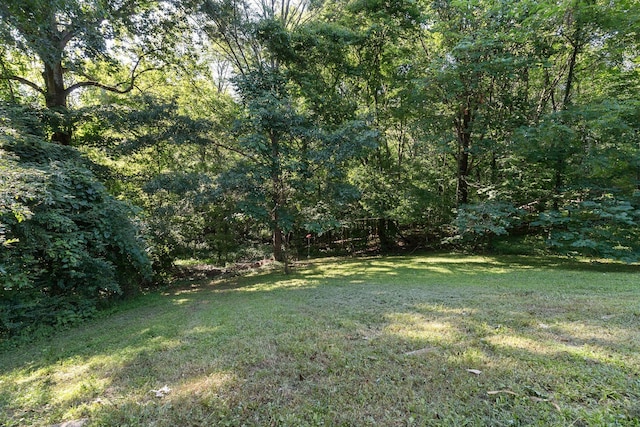 1401 Bearwallow Rd, Ashland City, TN 37015 - view of green lawn featuring a view of trees