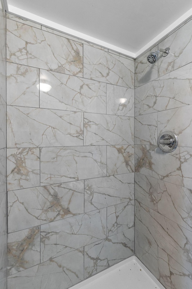 1401 Bearwallow Rd, Ashland City, TN 37015 - full bath with tiled shower