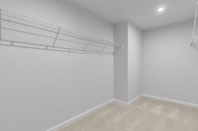 3294 Barrel Oak Pass, Columbia, TN 38401 - spacious closet with light carpet