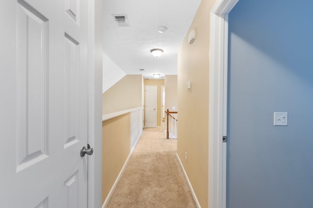 110 Bartlett Ln, Hendersonville, TN 37075 - photo 29