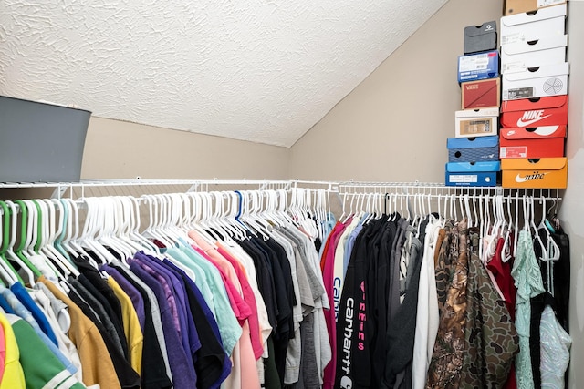 8100 Cedar Forrest Rd, Lascassas, TN 37085 - spacious closet with lofted ceiling