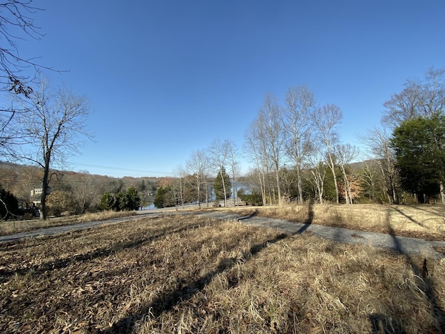 2390 Benders Ferry Rd, Mount Juliet, TN 37122 - photo 12