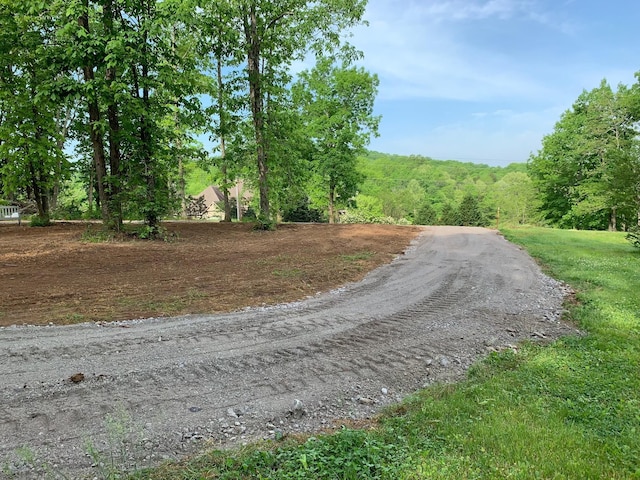 2390 Benders Ferry Rd, Mount Juliet, TN 37122 - photo 4
