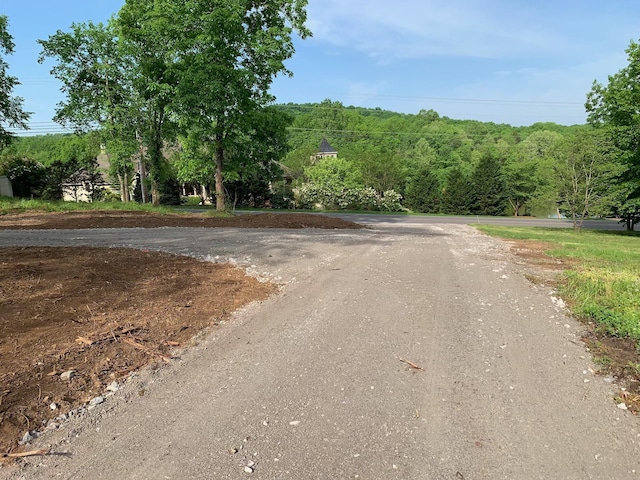2390 Benders Ferry Rd, Mount Juliet, TN 37122 - photo 5