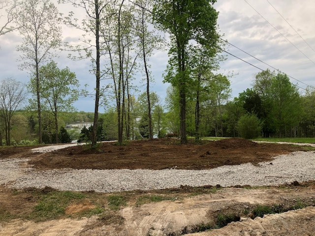 2390 Benders Ferry Rd, Mount Juliet, TN 37122 - photo 3