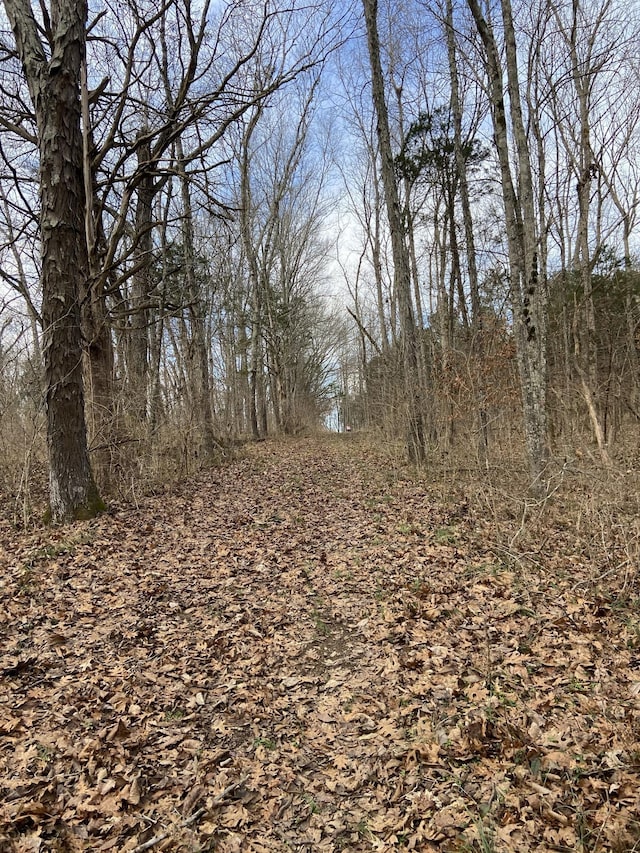 2390 Benders Ferry Rd, Mount Juliet, TN 37122 - photo 8