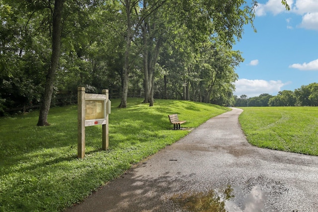 127 Saddlewood Ln, Hendersonville, TN 37075 - photo 84