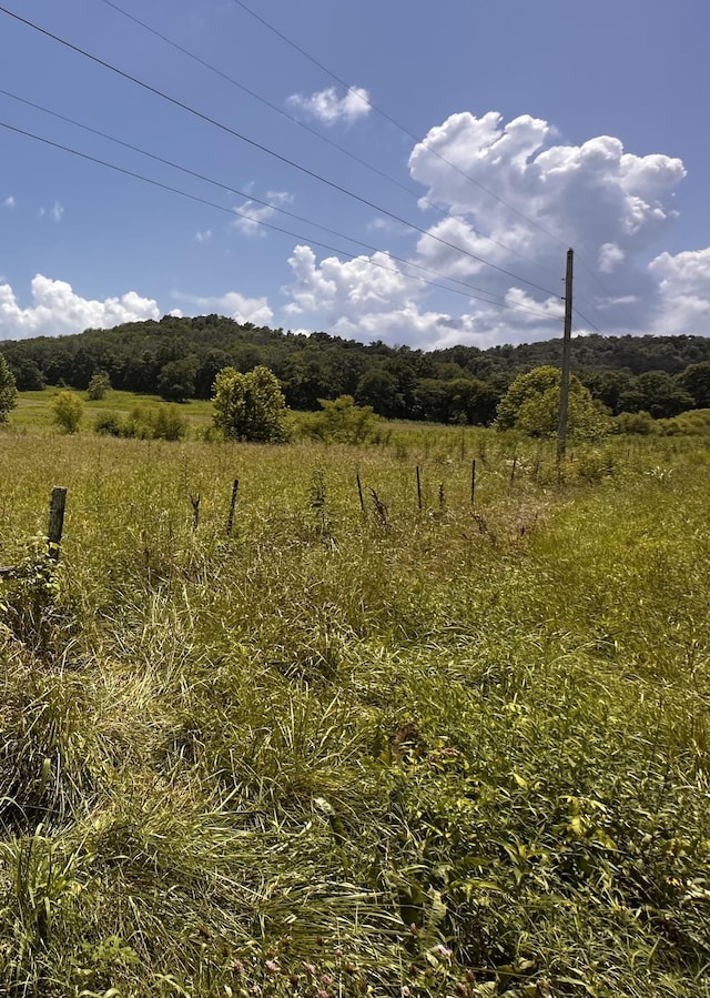 167A Bradford Rd, Fayetteville, TN 37334 - photo 1