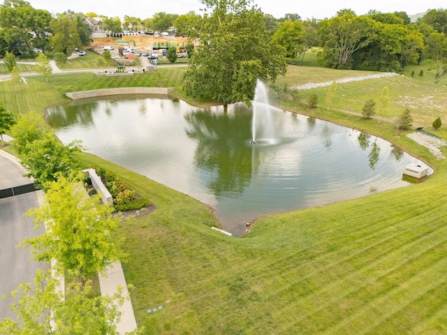 9229 Liza Ct, Brentwood, TN 37027 - photo 9