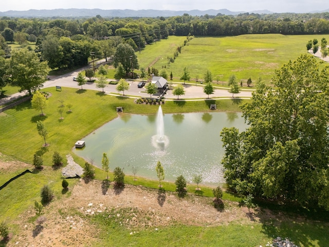 9229 Liza Ct, Brentwood, TN 37027 - photo 1