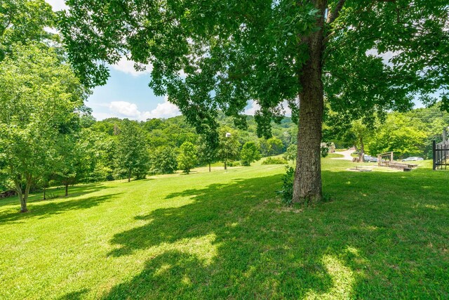 1901 Scotty Parker Rd, Gallatin, TN 37066 - photo 75