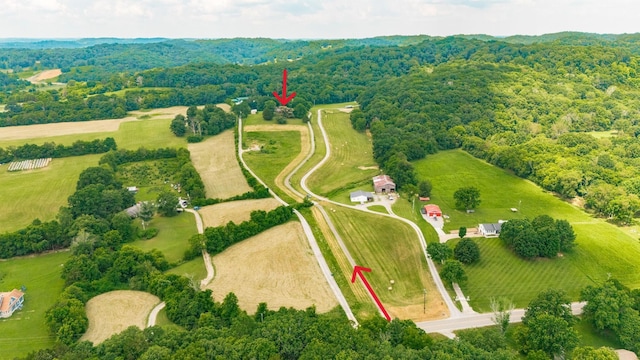 1901 Scotty Parker Rd, Gallatin, TN 37066 - photo 5