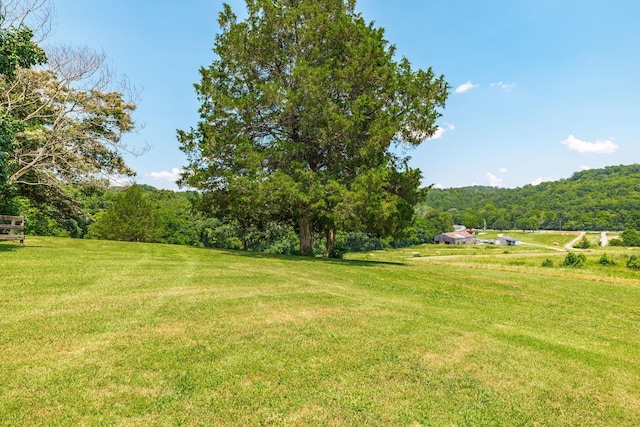1901 Scotty Parker Rd, Gallatin, TN 37066 - photo 69