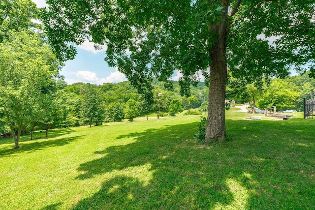 1901 Scotty Parker Rd, Gallatin, TN 37066 - photo 70
