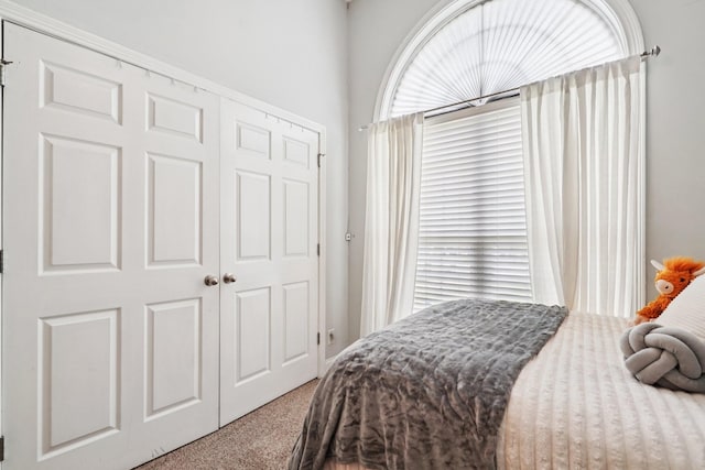 1319 Knoll Ln, Lebanon, TN 37087 - carpeted bedroom featuring a closet