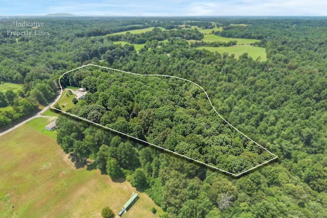 9656 Francis Ferry Rd, Rock Island, TN 38581 - view of property location featuring a forest and property boundaries highlighted