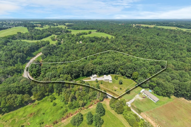 9656 Francis Ferry Rd, Rock Island, TN 38581 - view of property location with property boundaries highlighted