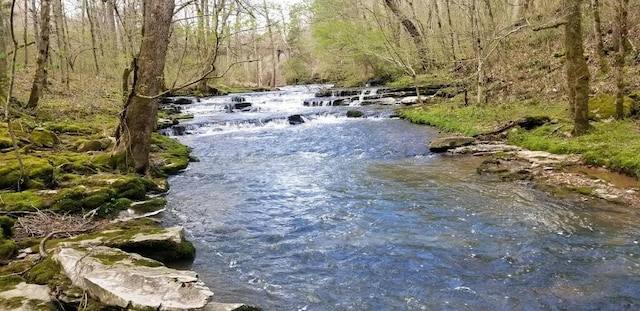9656 Francis Ferry Rd, Rock Island, TN 38581 - water view with a forest