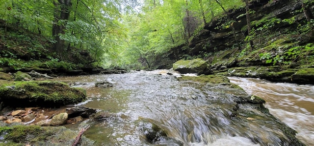 9656 Francis Ferry Rd, Rock Island, TN 38581 - water view with a heavily wooded area