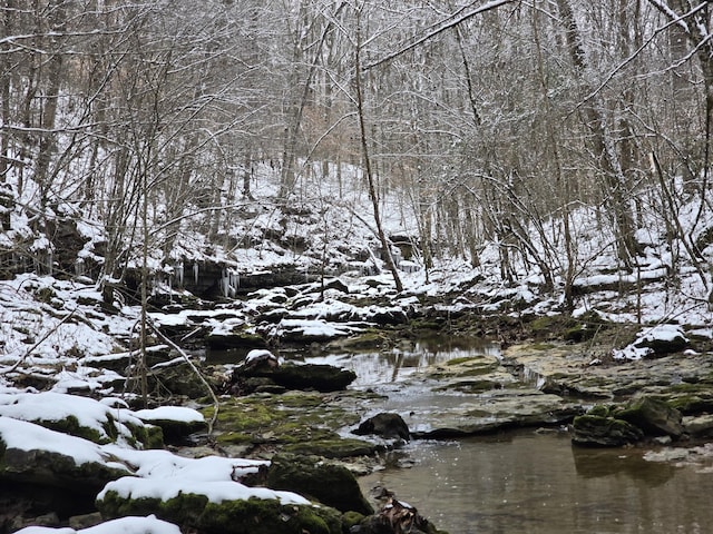 9656 Francis Ferry Rd, Rock Island, TN 38581 - view of nature