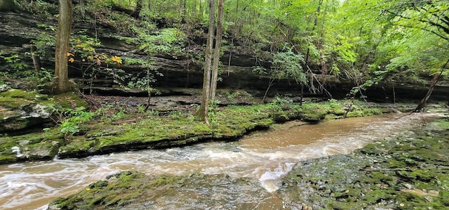 9656 Francis Ferry Rd, Rock Island, TN 38581 - view of nature