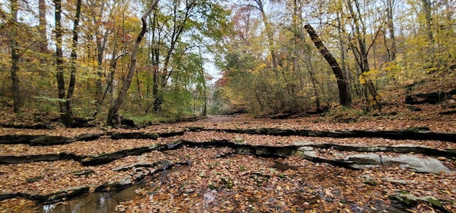 9656 Francis Ferry Rd, Rock Island, TN 38581 - view of nature