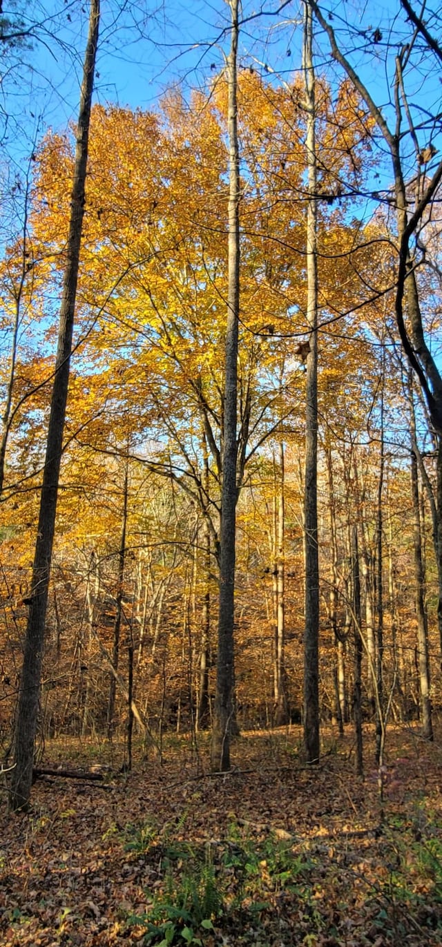 9656 Francis Ferry Rd, Rock Island, TN 38581 - view of nature