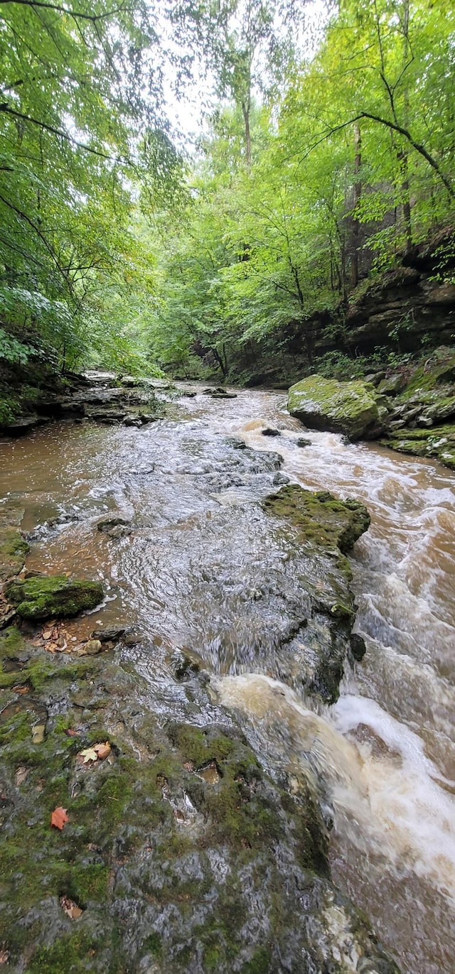 9656 Francis Ferry Rd, Rock Island, TN 38581 - water view featuring a forest