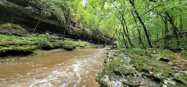 9656 Francis Ferry Rd, Rock Island, TN 38581 - view of wooded area