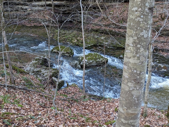 9656 Francis Ferry Rd, Rock Island, TN 38581 - view of undeveloped land