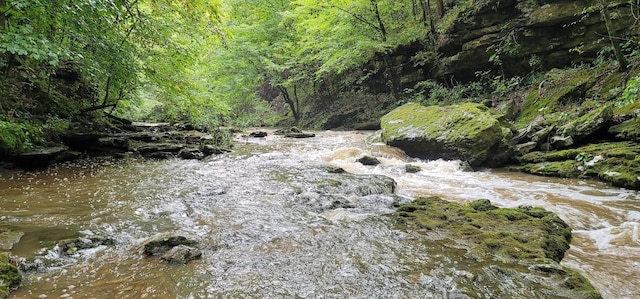 9656 Francis Ferry Rd, Rock Island, TN 38581 - view of tree filled area