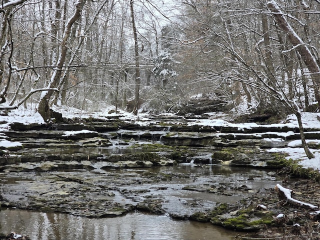 9656 Francis Ferry Rd, Rock Island, TN 38581 - view of nature
