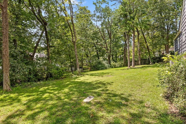 1300 Elfin Rd, Lookout Mountain, GA 30750 - photo 46
