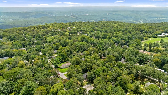 1300 Elfin Rd, Lookout Mountain, GA 30750 - photo 58
