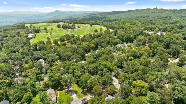 1300 Elfin Rd, Lookout Mountain, GA 30750 - photo 60