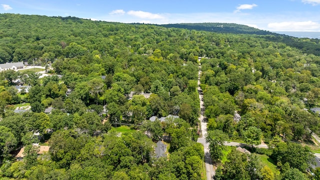 1300 Elfin Rd, Lookout Mountain, GA 30750 - photo 55