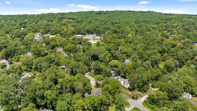 1300 Elfin Rd, Lookout Mountain, GA 30750 - photo 54
