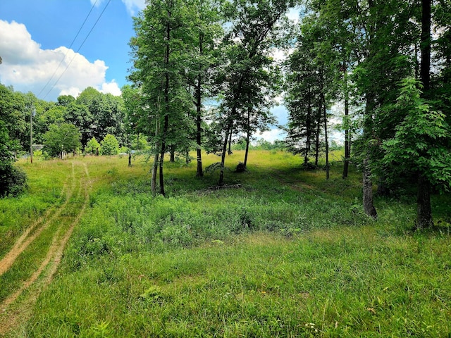 4877 Eastland Rd, Sparta, TN 38583 - photo 9