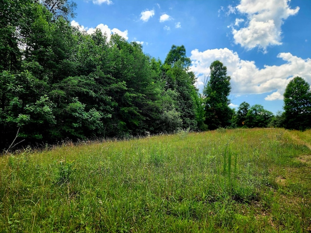 4877 Eastland Rd, Sparta, TN 38583 - photo 13