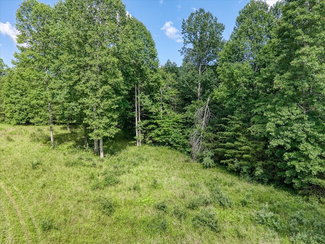 4877 Eastland Rd, Sparta, TN 38583 - photo 11
