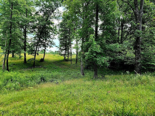 4877 Eastland Rd, Sparta, TN 38583 - photo 14
