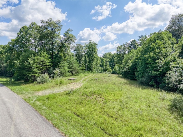 4877 Eastland Rd, Sparta, TN 38583 - photo 5