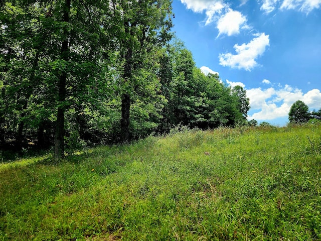 4877 Eastland Rd, Sparta, TN 38583 - photo 10