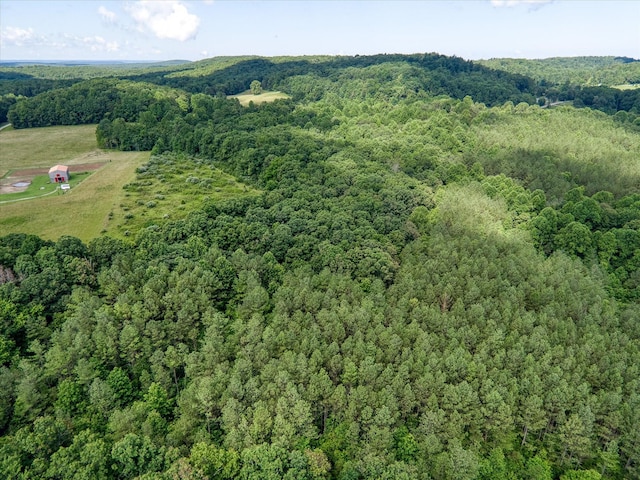4877 Eastland Rd, Sparta, TN 38583 - photo 15
