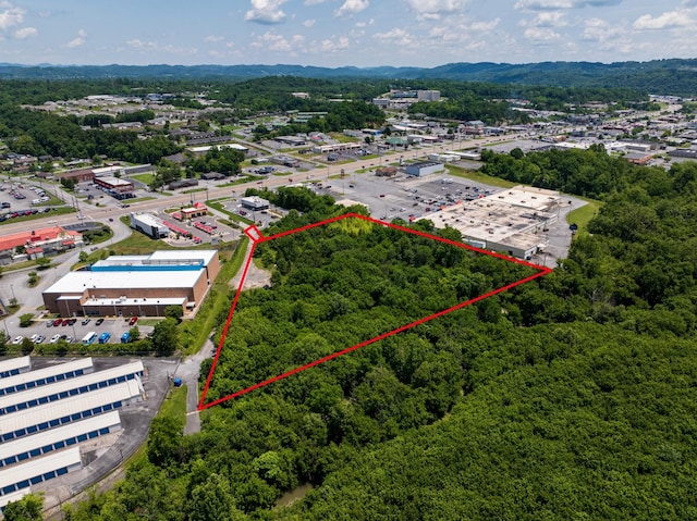 1309 E Stone Dr, Kingsport, TN 37660 - photo 3