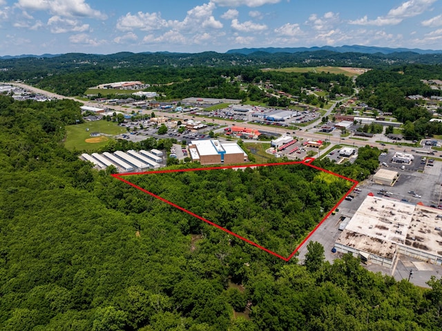 1309 E Stone Dr, Kingsport, TN 37660 - photo 2