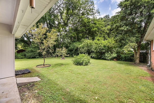 2010 Olympia Pl, Murfreesboro, TN 37130 - view of green lawn