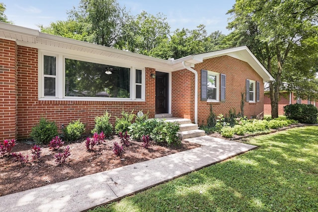 2010 Olympia Pl, Murfreesboro, TN 37130 - view of front of house featuring brick siding and a front yard